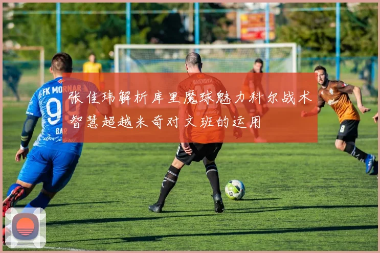 张佳玮解析库里魔球魅力科尔战术智慧超越米奇对文班的运用