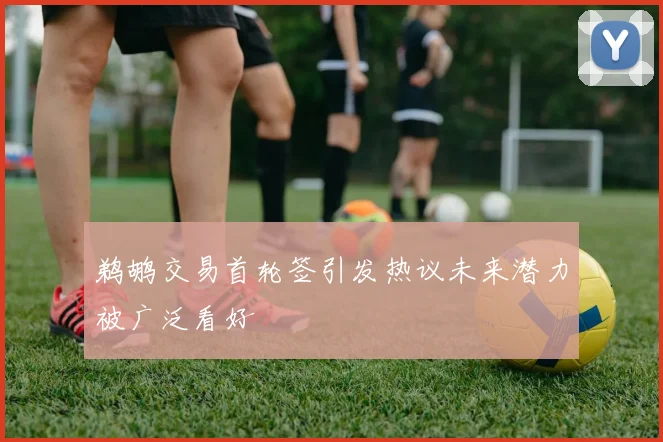 鹈鹕交易首轮签引发热议未来潜力被广泛看好