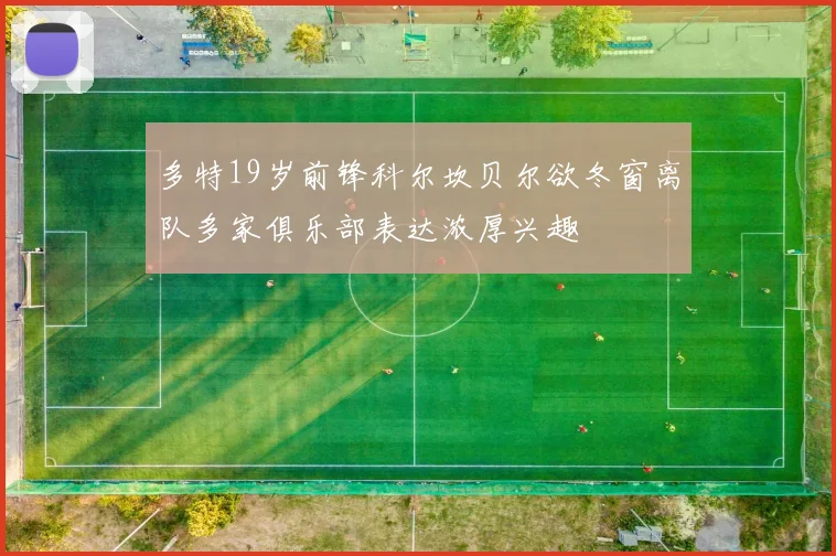 多特19岁前锋科尔坎贝尔欲冬窗离队多家俱乐部表达浓厚兴趣