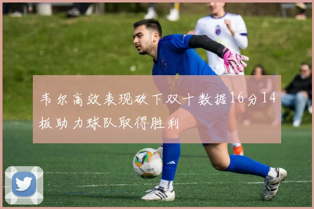 韦尔高效表现砍下双十数据16分14板助力球队取得胜利